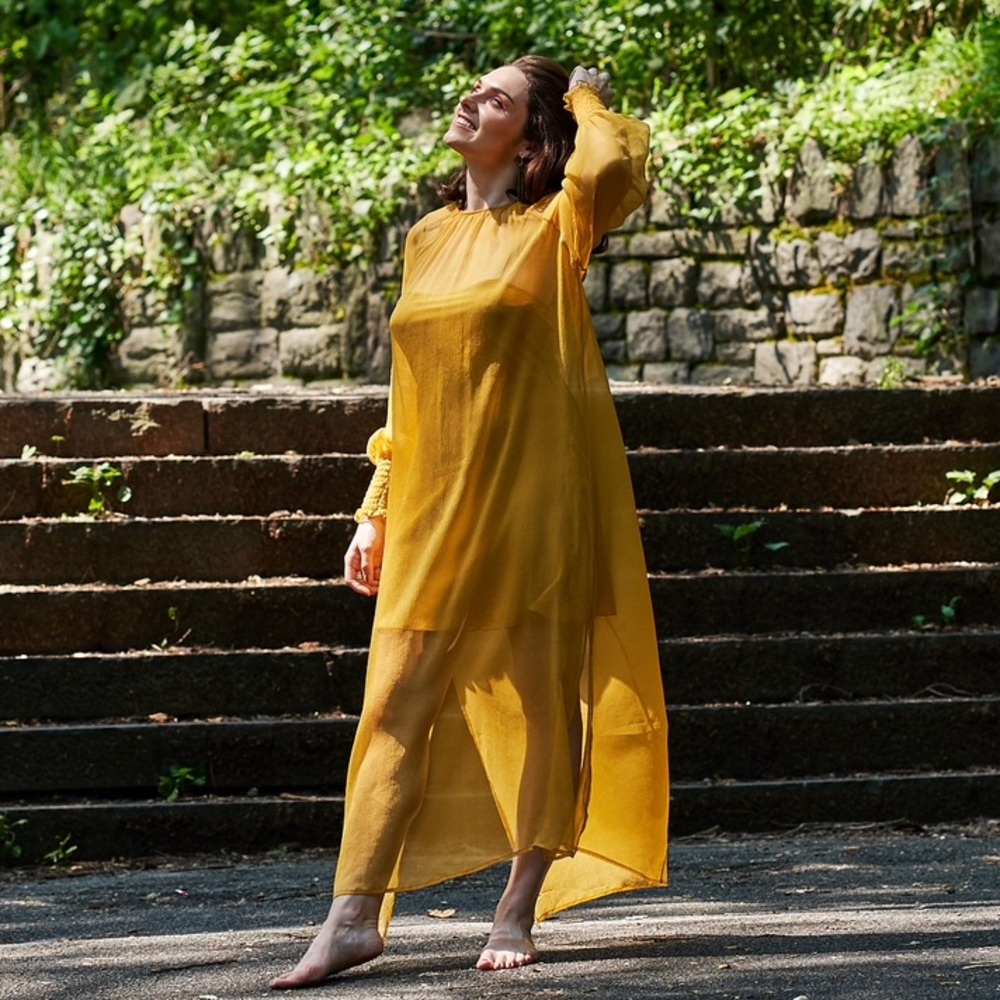 100% silk slip & dress The Great Eros